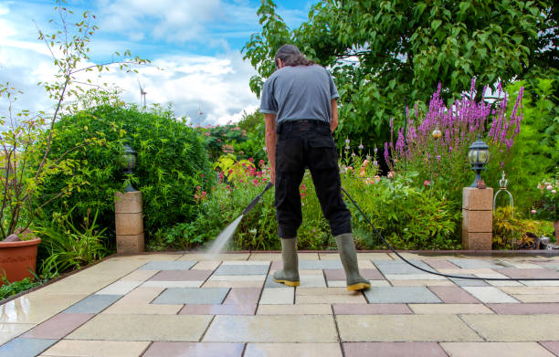 Best Winterizing Services  in St Michaels, MD